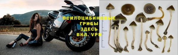 ALPHA PVP Алексин