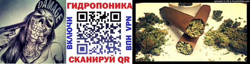 Конопля OG Kush  продажа наркотиков  блэк спрут как войти  Лихославль 